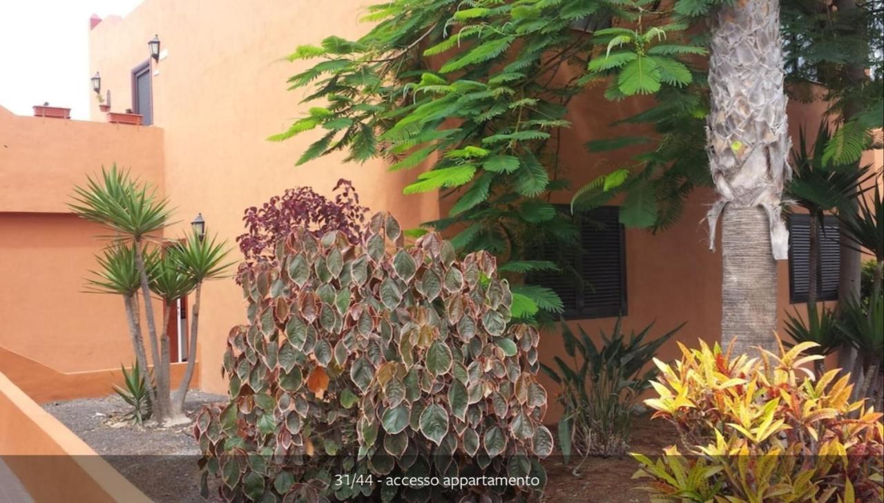 My Home In The Sun Corralejo Exterior photo